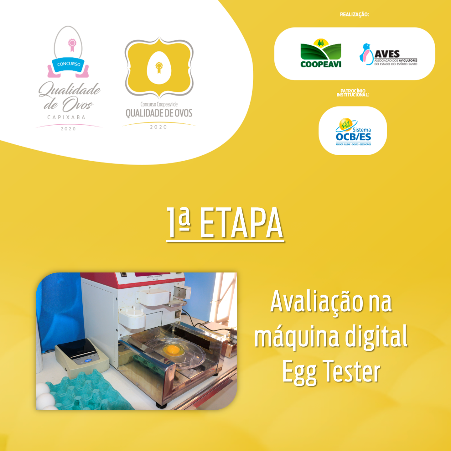 1ª etapa