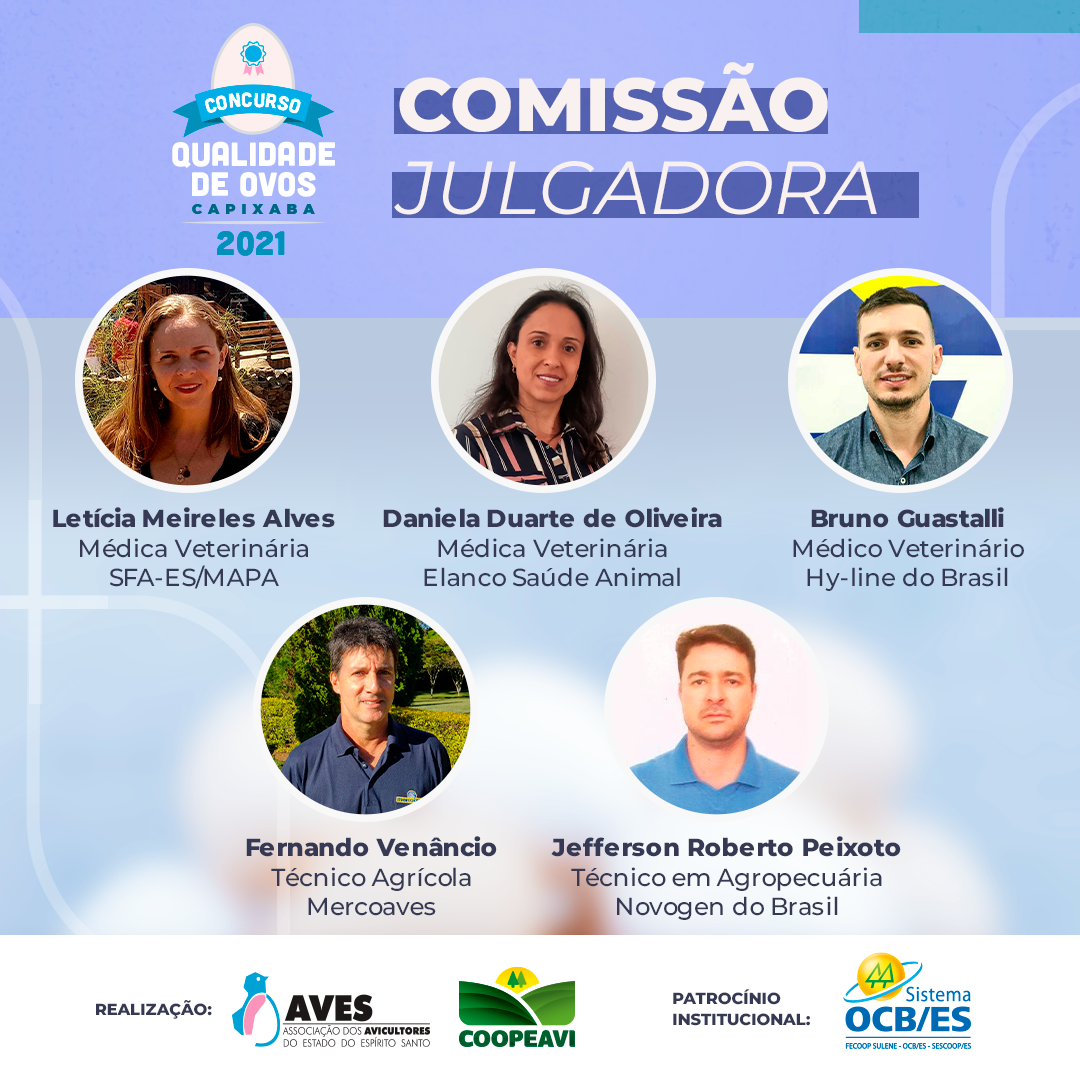 Arte da Comissão Julgadora