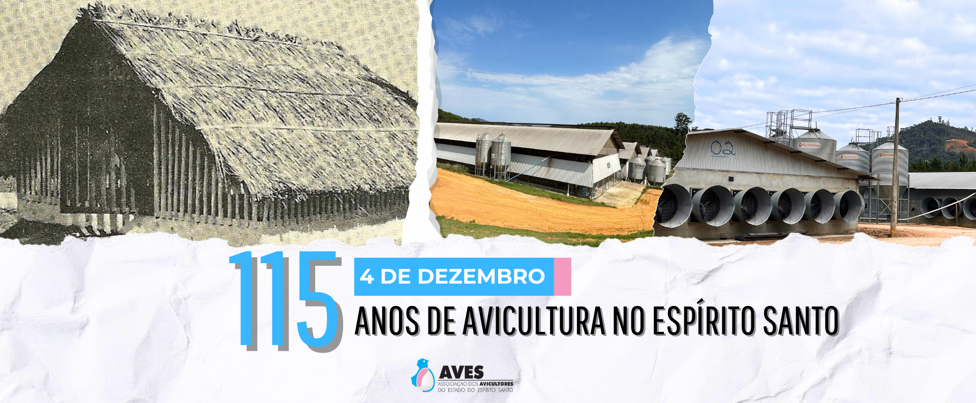 DATAS COMEMORATIVAS PADRÃO 1080 x 1350 px Apresentação 43