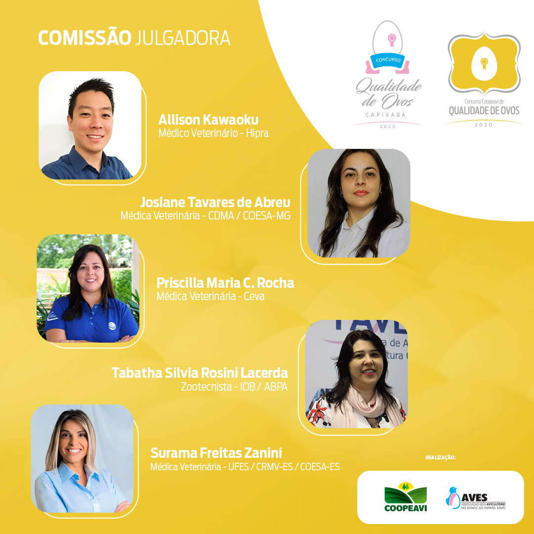 Peças de Divulgação FinaisComissão Julgadora Feed