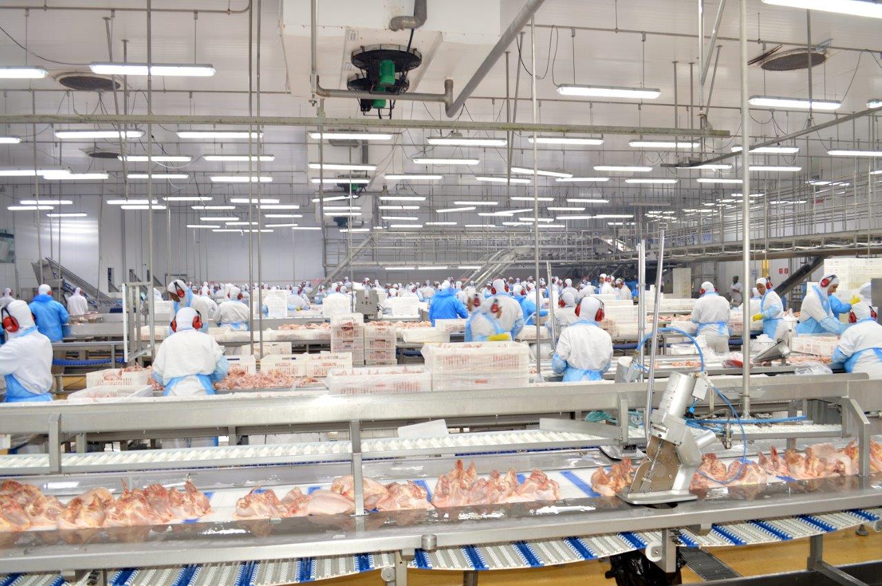 SALA DE CORTE FRIGORÍFICO