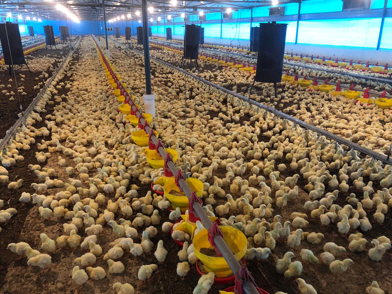 WhatsApp Image 2020 12 02 at 17.49.17