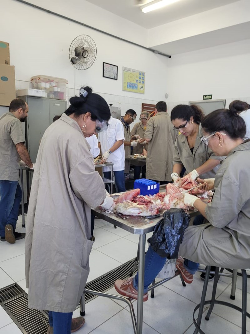 WhatsApp Image 2023 03 16 at 17.14.13