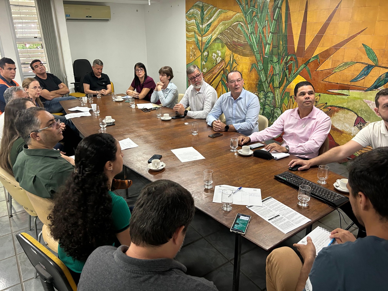 Comitê Gestor de Enfrentamento à Influenza Aviária